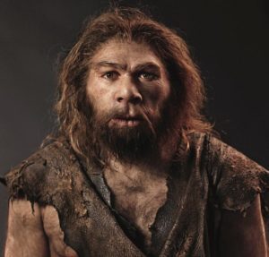 Homo Neanderthals